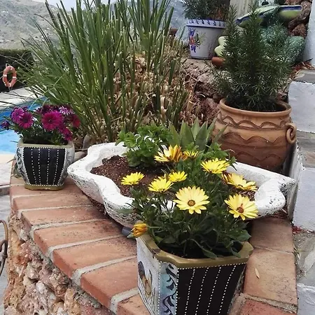 Cortijo El Nino Frigiliana Malaga
